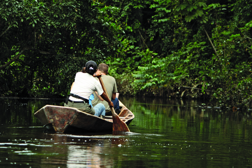 People canoeing down a river in the Amazon rainforest