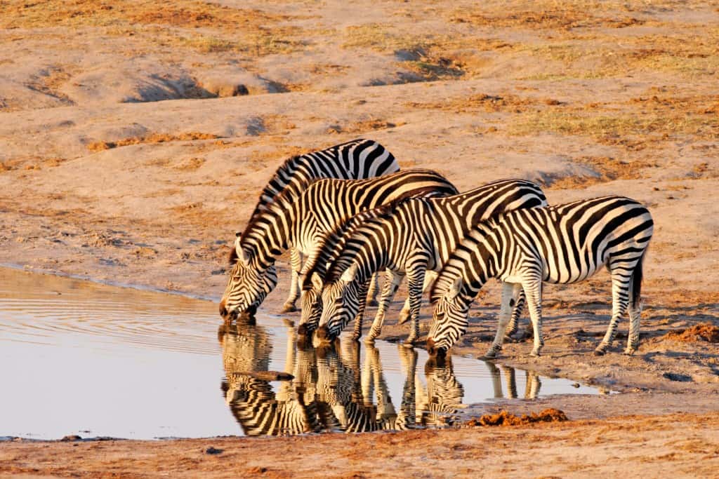 Zimbabwe Holidays & Tours