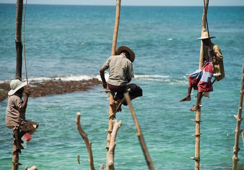 Rainbow Tours Sri Lanka Rainbow Tours Sri Lanka