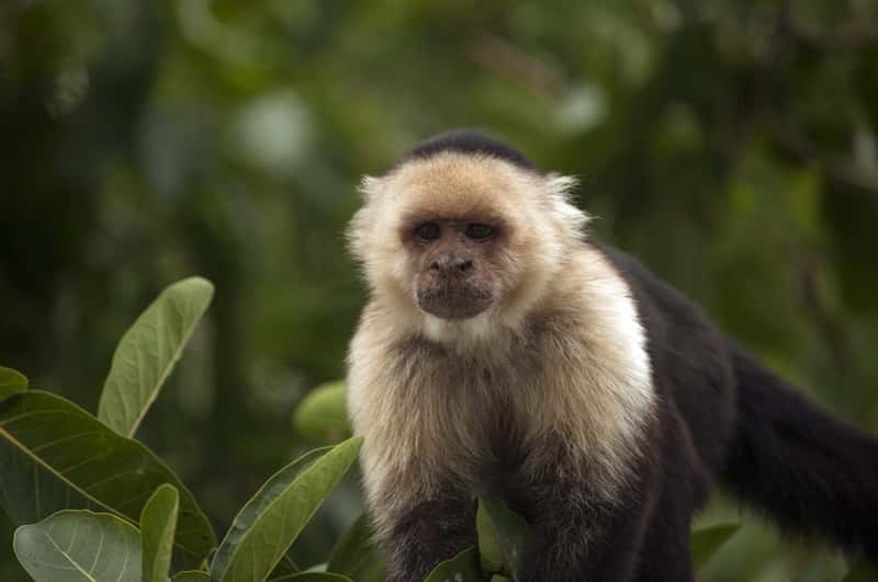 Holidays to Nicaragua