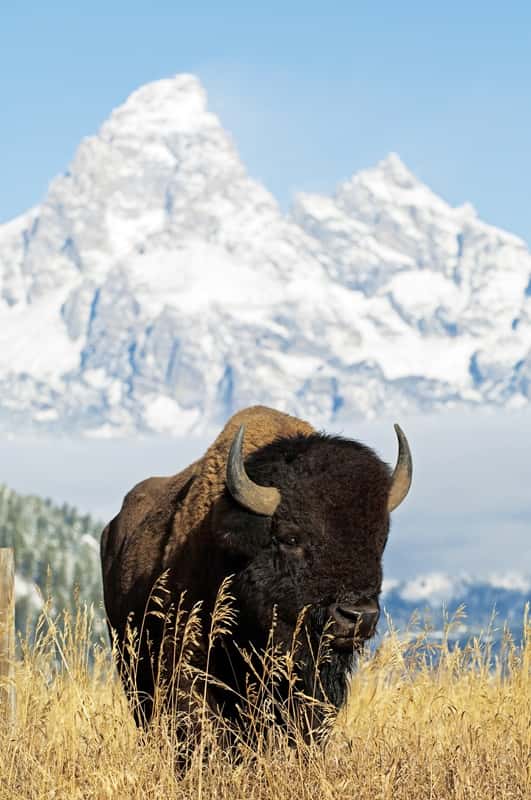 USA Holidays & Tours