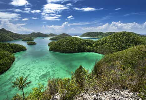 New Beyond trip West Papua
