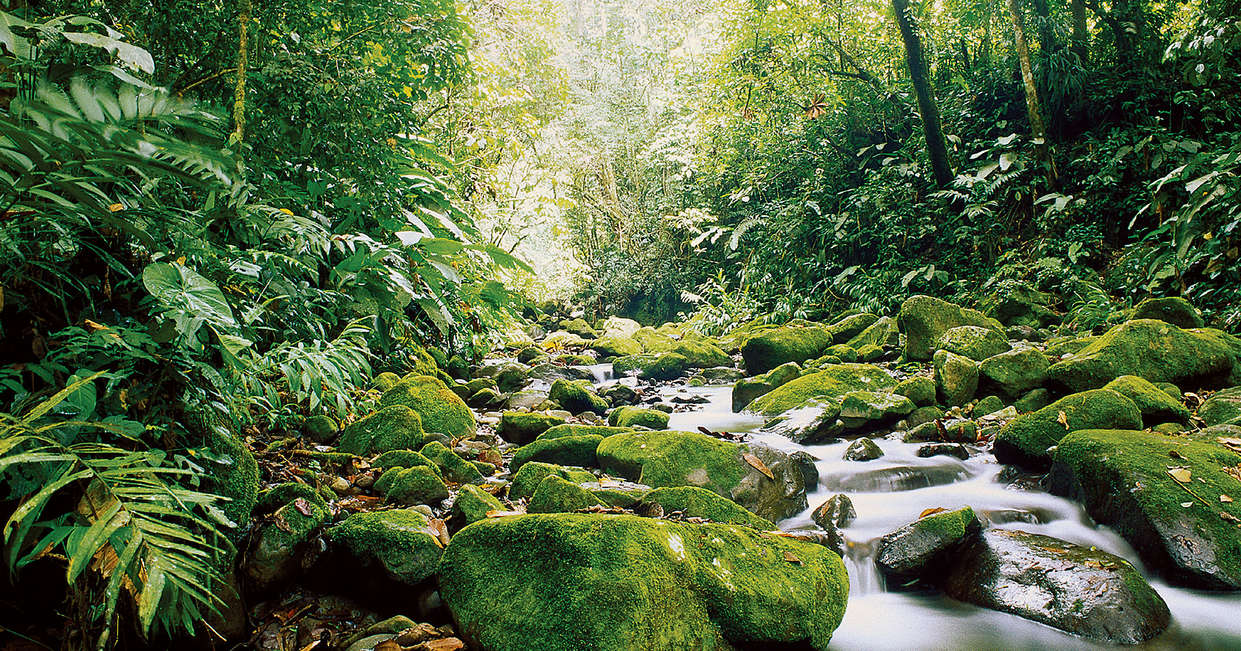 tourhub | Explore! | Costa Rica Wildlife Tour 