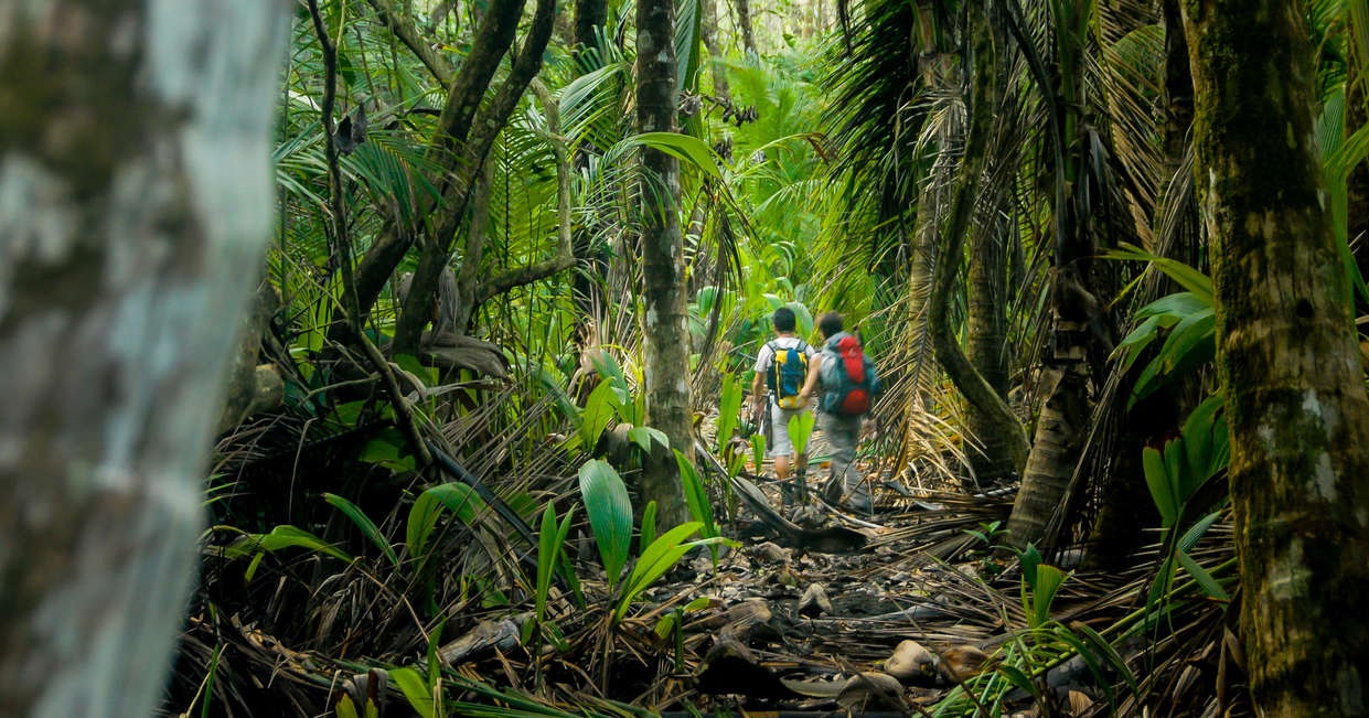 tourhub | Explore! | Costa Rica Wildlife Tour | CC