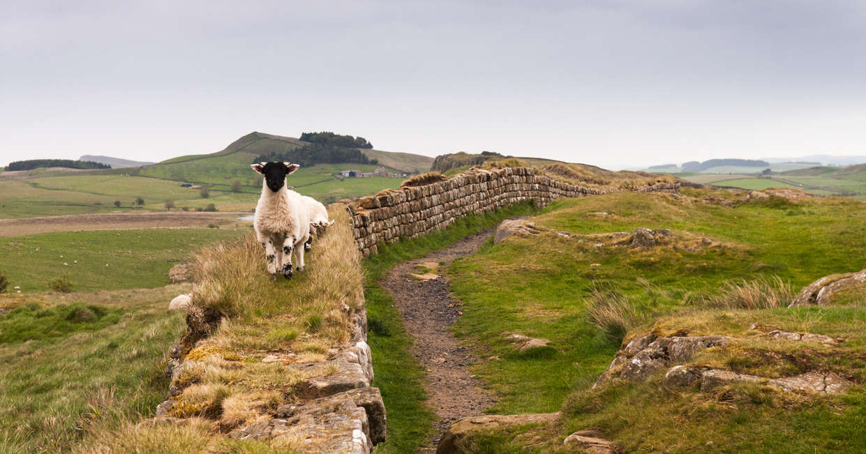 tourhub | Explore! | Cycle Hadrian's Wall - Coast to Coast 