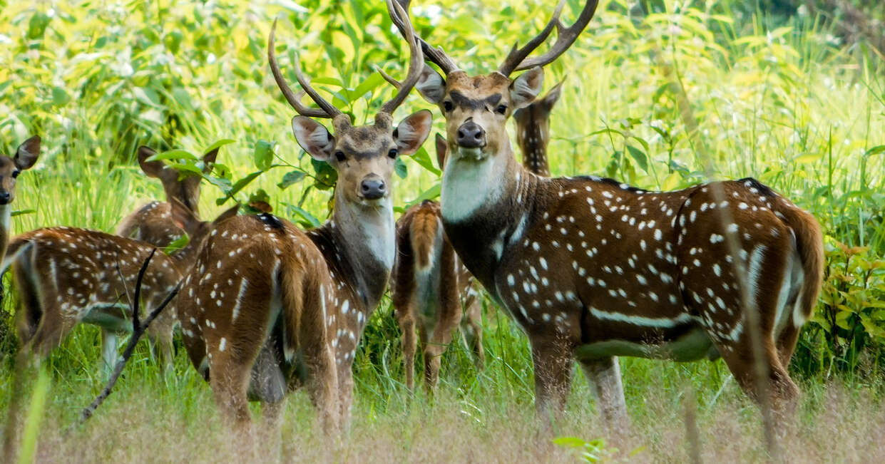 tourhub | Explore! | Discover Nepal 