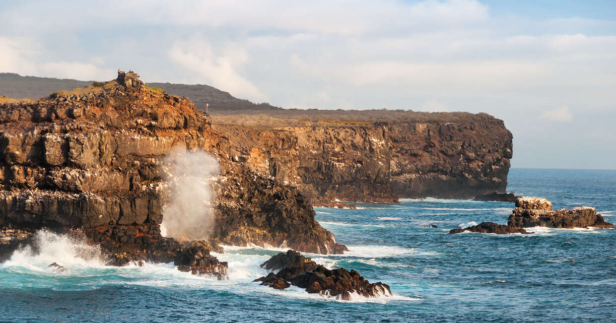 tourhub | Explore! | Galapagos Express - Central, South & East Islands aboard the Archipel I 