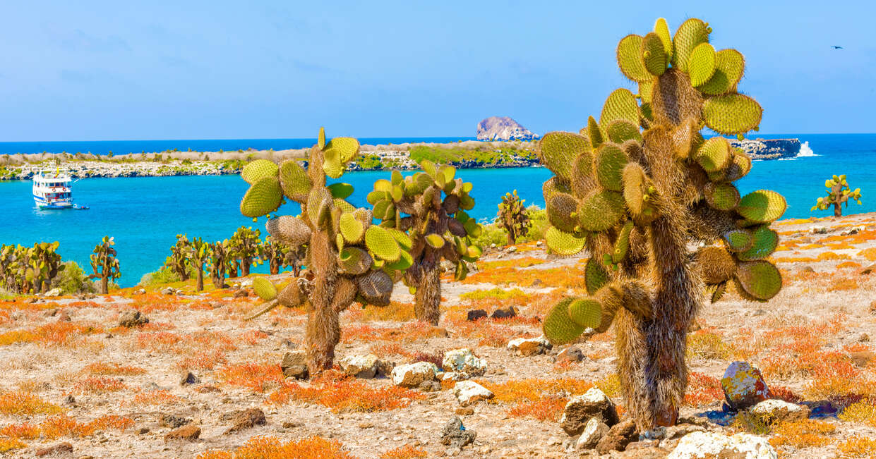 tourhub | Explore! | Galapagos - Central & West Islands aboard the Treasure 