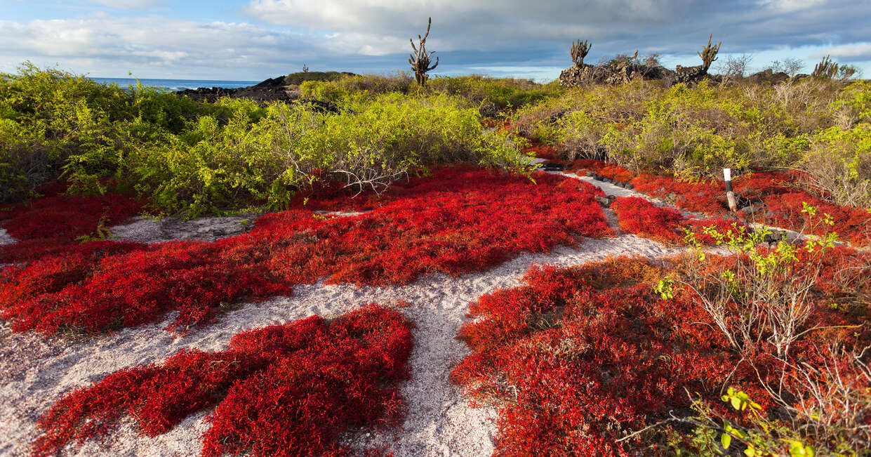 tourhub | Explore! | Galapagos Express - Central, South & East Islands aboard the Archipel I 