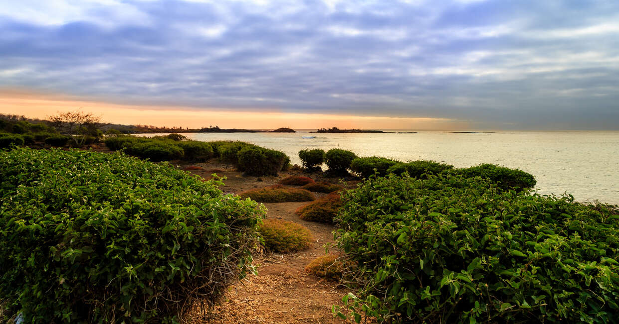 tourhub | Explore! | Galapagos Express - Central, South & East Islands aboard the Archipel I 