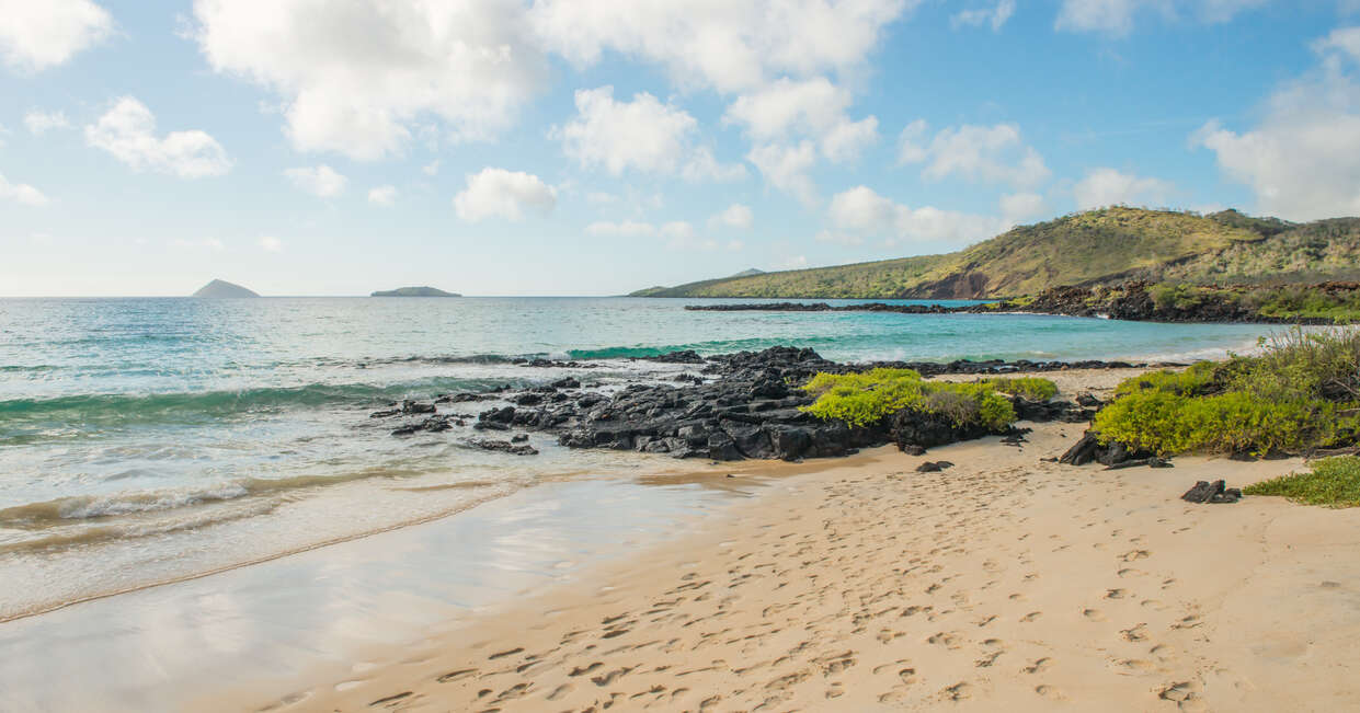 tourhub | Explore! | Galapagos - Central, South & East Islands aboard the Archipel I 