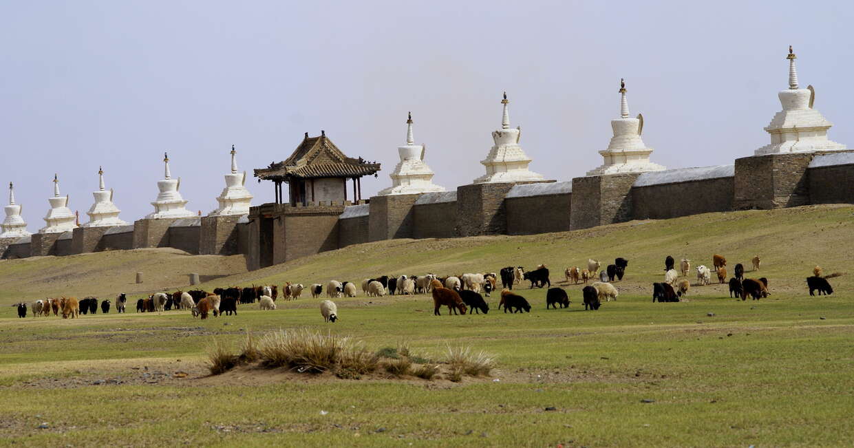 tourhub | Explore! | Mongolia Explorer 