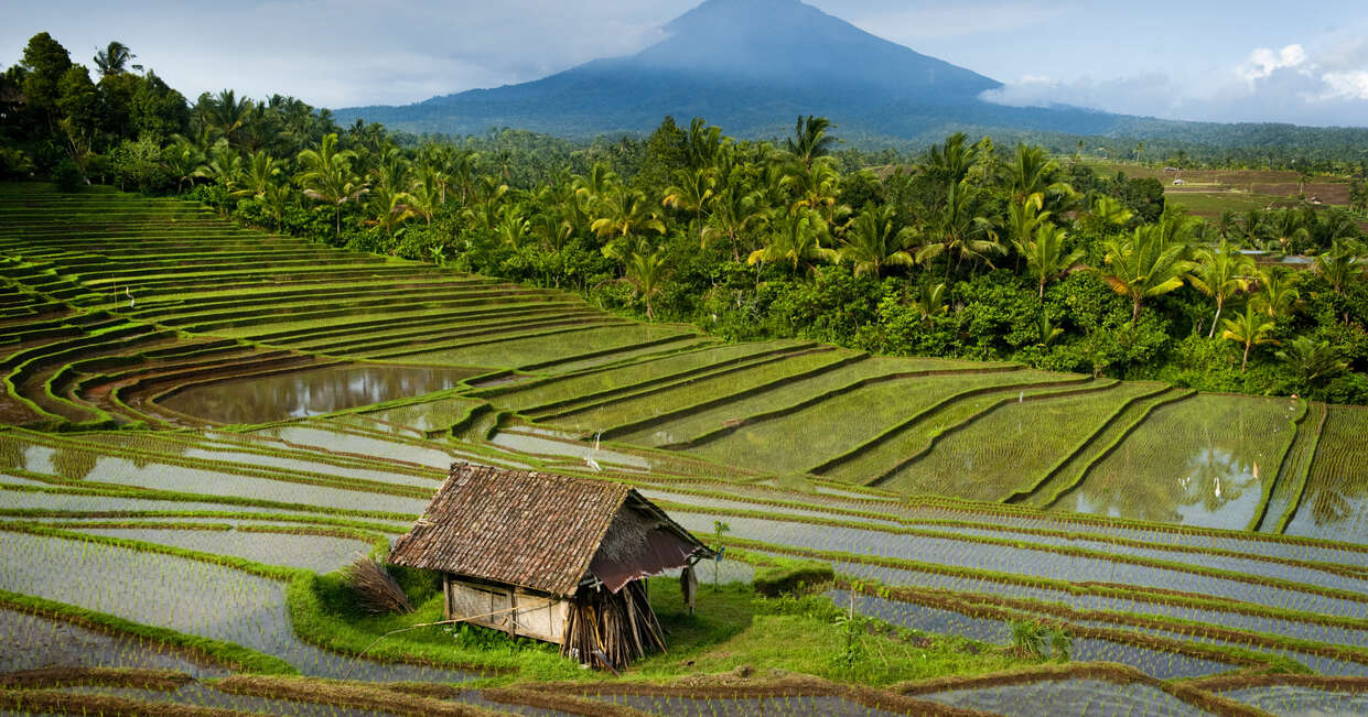 tourhub | Explore! | Discover Bali, Flores and Komodo Islands 