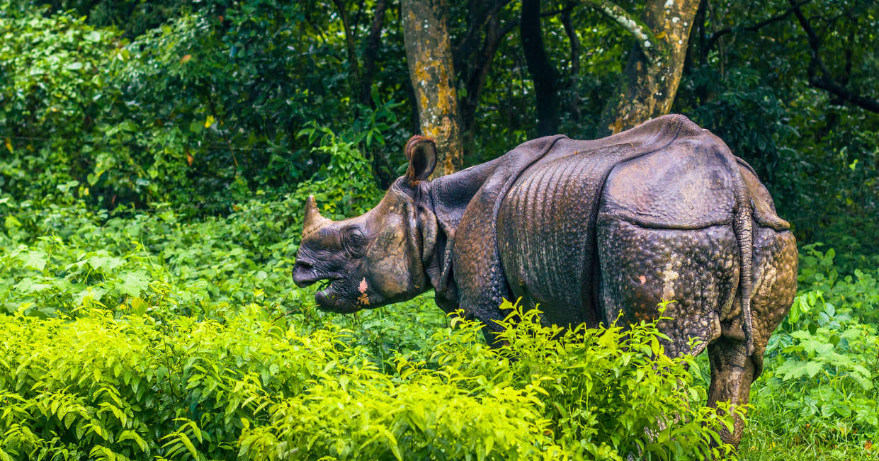 tourhub | Explore! | Annapurna Luxury Lodge Trek 