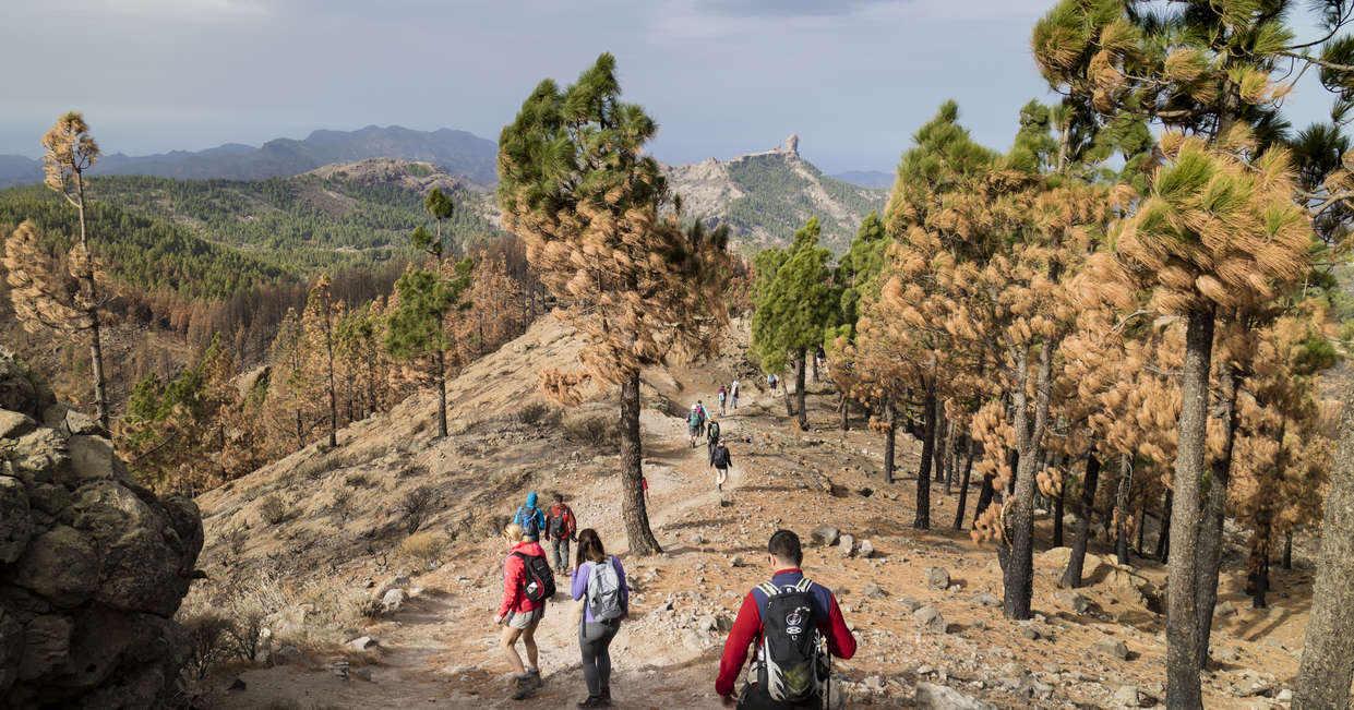 tourhub | Explore! | Canary Islands Walking - Gran Canaria 