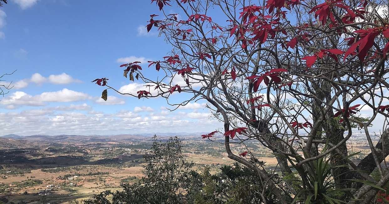 tourhub | Explore! | Madagascar: The Lost Continent 