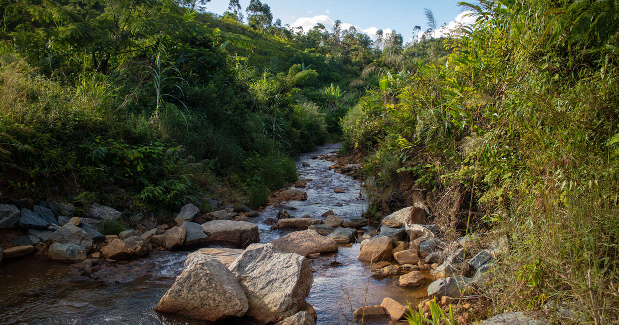 tourhub | Explore! | Madagascar Wilderness Trek 