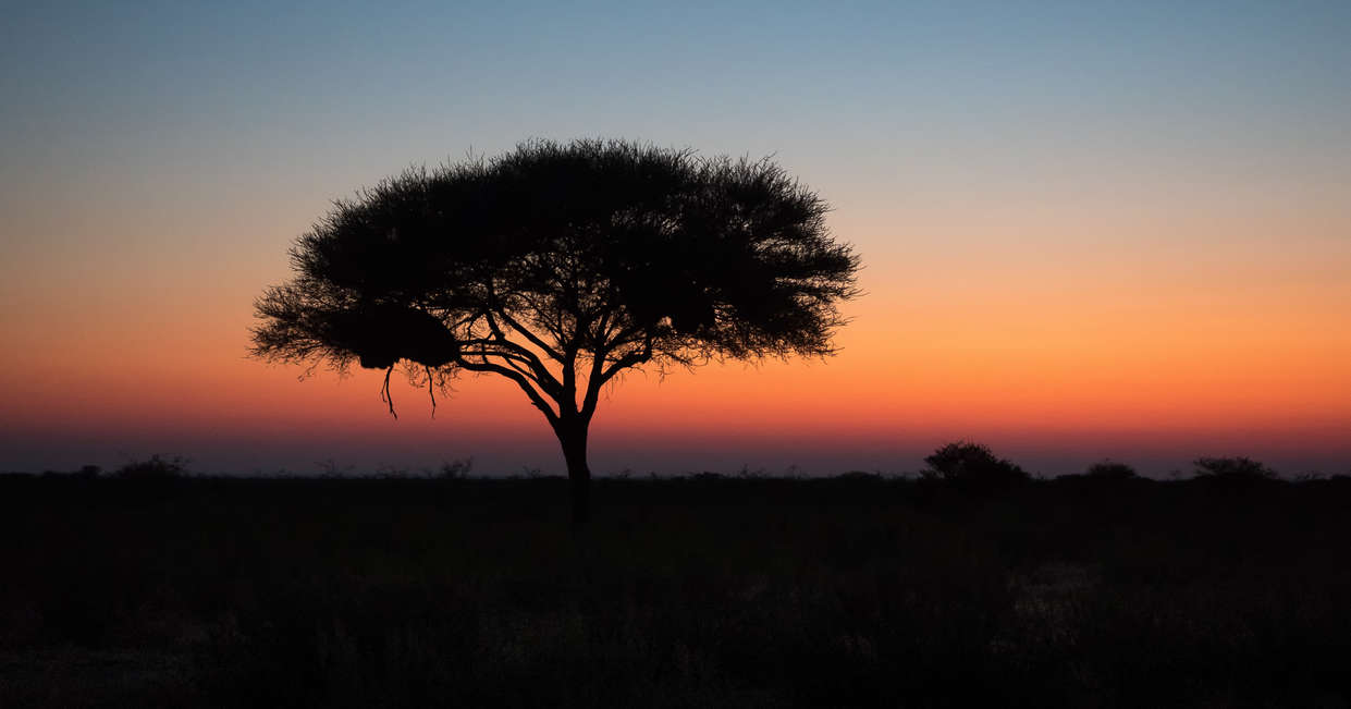 tourhub | Explore! | Namibia Lodge Safari 