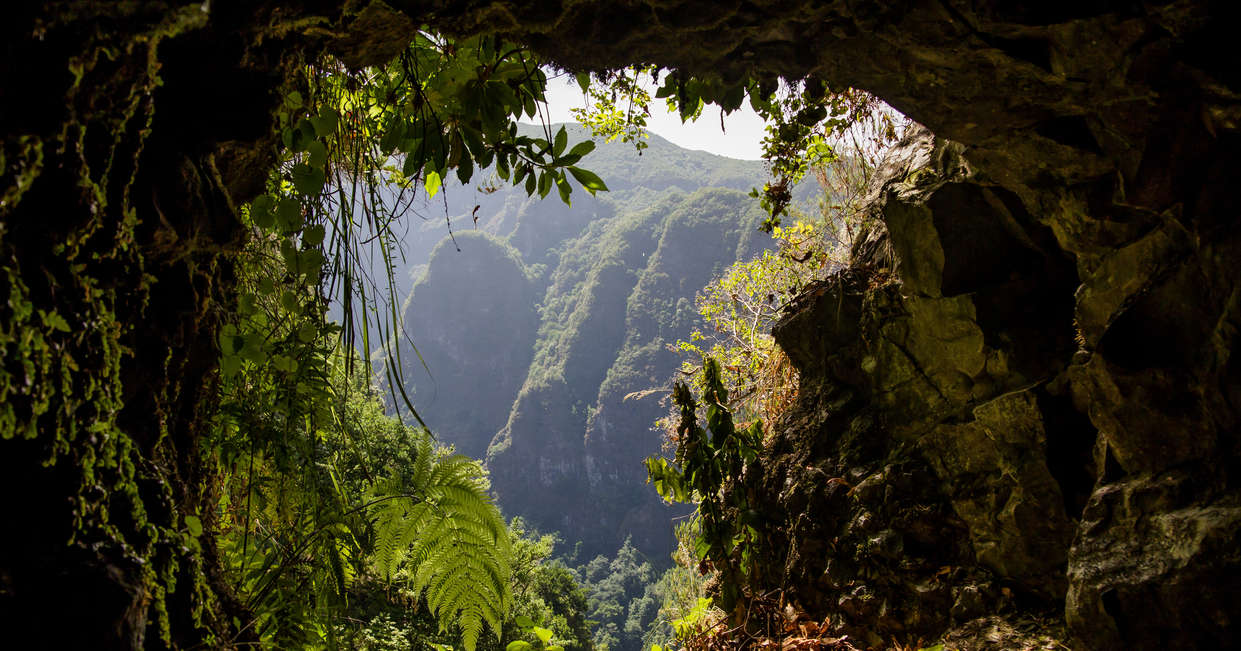 tourhub | Explore! | Family Madeira Adventure 