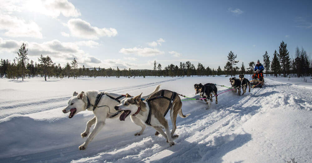 tourhub | Explore! | Finnish Lapland Winter Adventure 