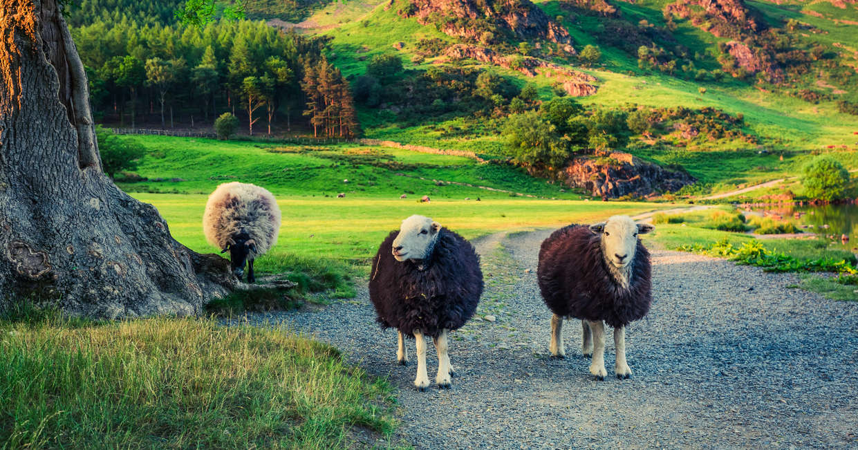 tourhub | Explore! | Walk the Lake District 