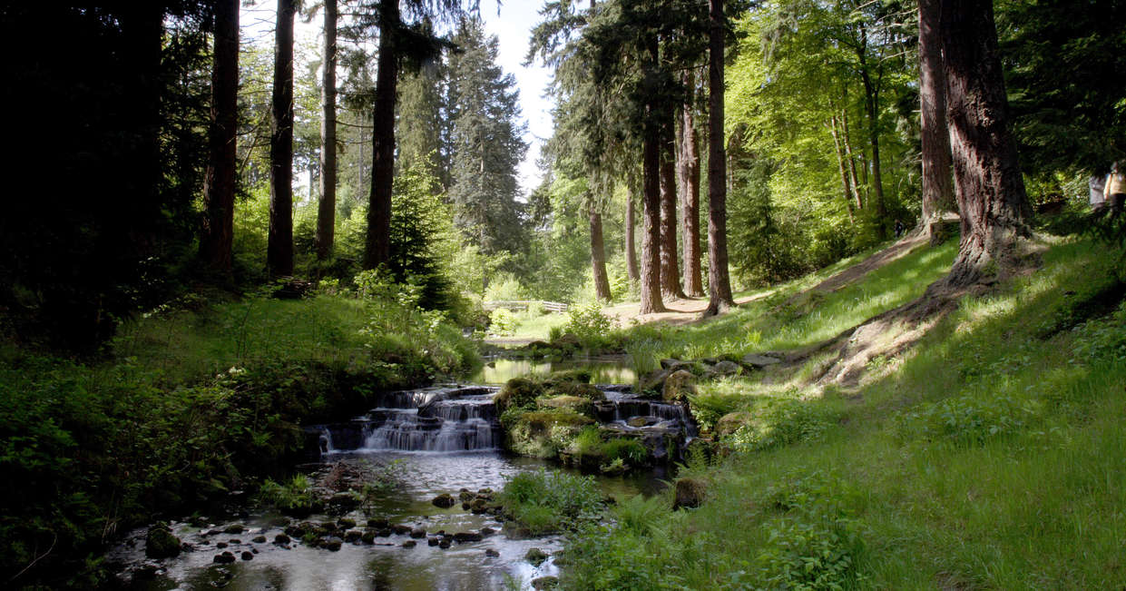 tourhub | Explore! | Walk Northumberland 