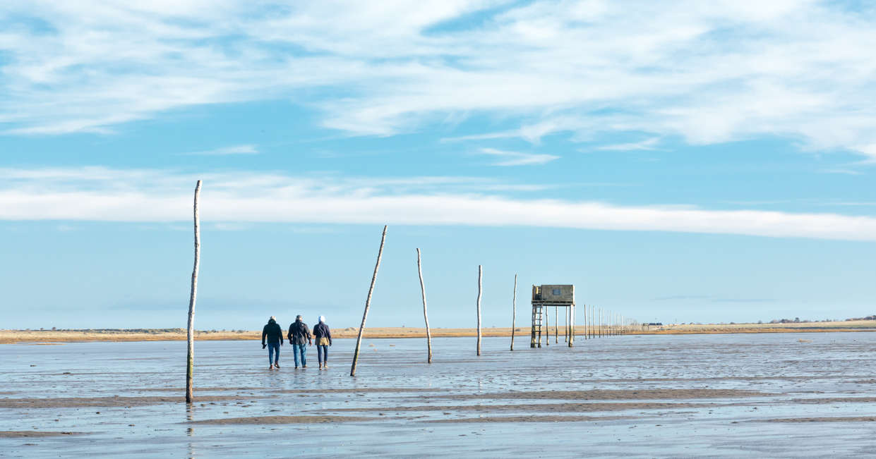 tourhub | Explore! | Walk Northumberland 