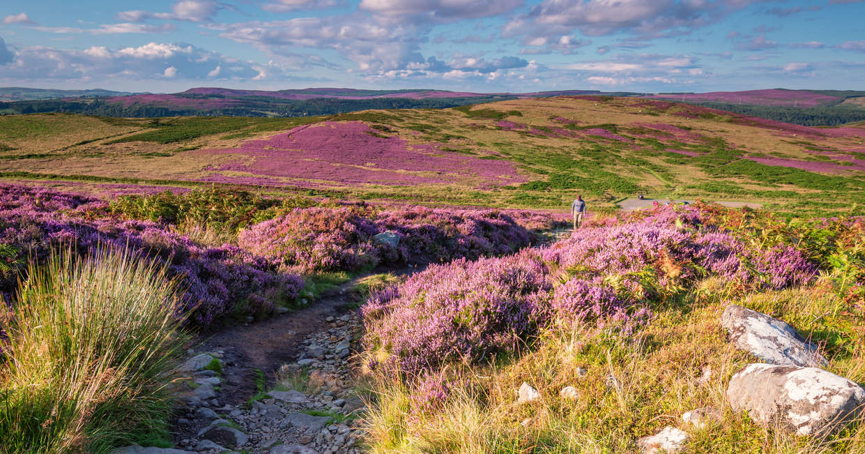 tourhub | Explore! | Walk Northumberland 