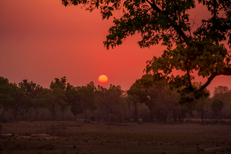 tourhub | Explore! | India Tiger Safari 