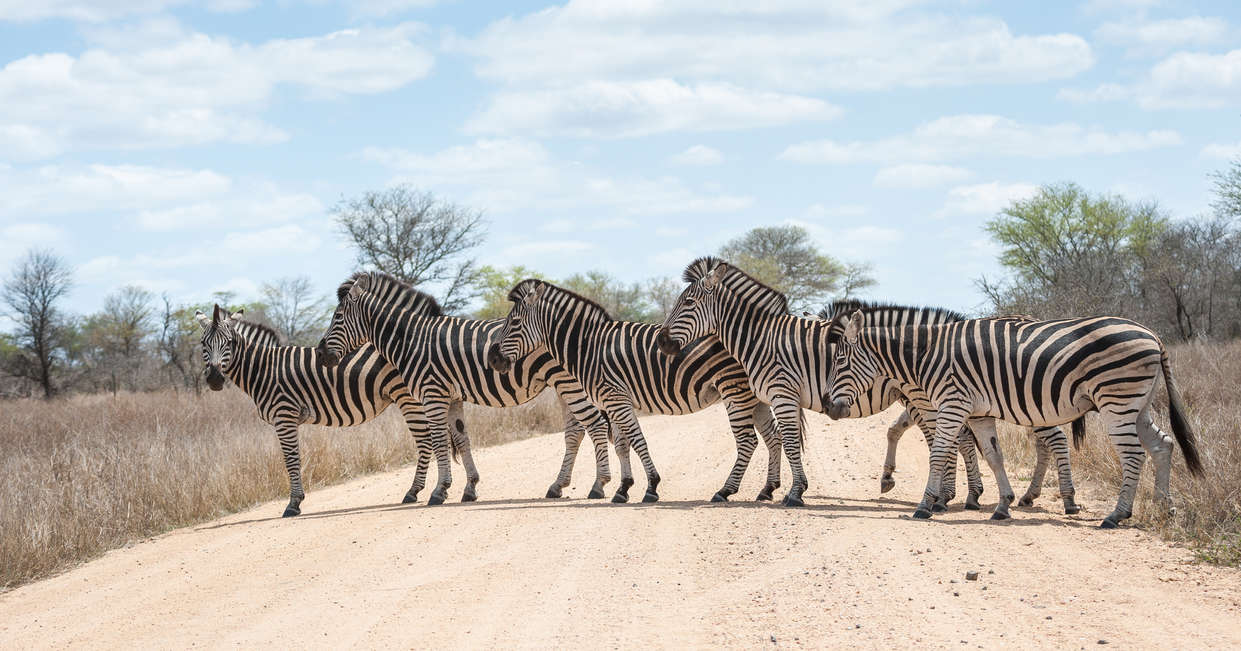 tourhub | Explore! | South Africa & Eswatini 