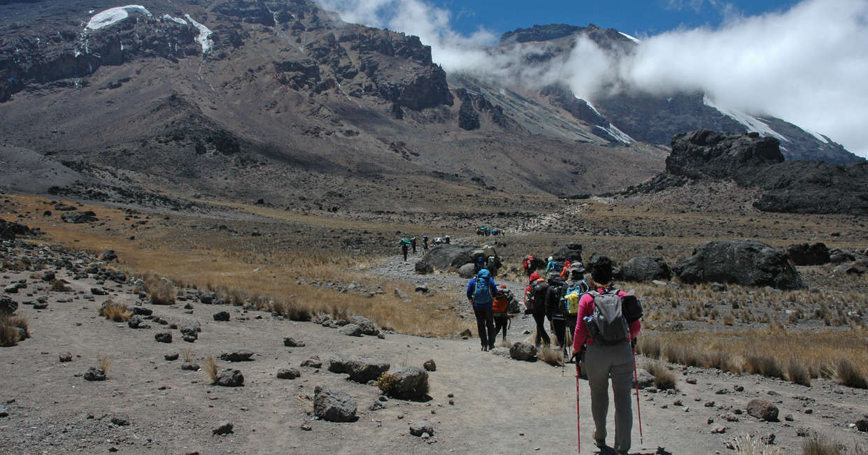 tourhub | Explore! | Kilimanjaro - Lemosho Trek 