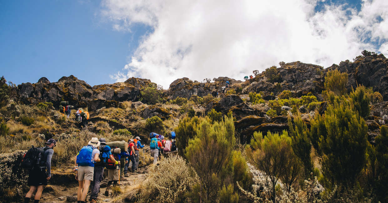 tourhub | Explore! | Kilimanjaro - Lemosho Trek 