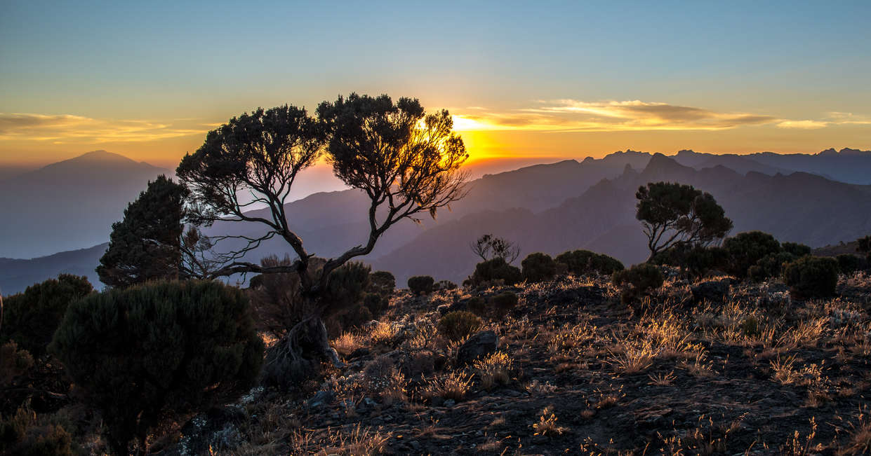 tourhub | Explore! | Kilimanjaro - Lemosho Trek 