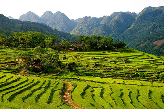 From Hanoi to Saigon, explore vibrant Vietnam on foot. Discover the country's must-see sites with walking tours around bucket-list cities and rural rambles in tribal villages and jungle temples. Along the way, get closer to the local culture, feasting on fresh Vietnamese flavours and staying in a traditional stilt house.<br> <br> Halong Bay - Board a traditional junk boat to cruise amongst the breathtaking limestone landscapes of Halong Bay.  <br> Hoi An - Discover the tube houses, canals and quaint streets of this charming ancient merchant's town.<br> Culinary delights - Get a flavour for Vietnam, sampling fresh and tasty cuisine at street food stalls and with local families.<br> 

